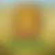 Zagraj Mega Moolah z Games Global w {"id":14,"name":"888starz","design":{"logo":"888starz-logo.PawOlG.svg","favicon":"888starz-favicon.kl9Zjm.png","banner_poker":"888starz-poker.73yS9M.webp","banner_mobile":"888starz-mobile.zEiMkI.webp","block_bg_color":"#000","image_bg_color":"#3D3D3D","banner_bg_color":"#18181b","block_text_color":"#ffffff","primary_bg_color":"#2C2C2a","banner_text_color":"#fff","footer_logos_type":"white","block_round_radius":"0.5rem","primary_text_color":"#e5e7eb","button_round_radius":"0.5rem","banner_welcome_bonus":"888starz-welcome-bonus.Nx1UQE.webp","primary_button_bg_color":"#1ABE47","primary_button_text_color":"#fff","secondary_button_bg_color":"#E0E0E0","secondary_button_text_color":"#1f2937"},"created_at":"2025-05-14T09:25:22.000000Z","updated_at":"2025-05-14T09:25:22.000000Z","deleted_at":null}